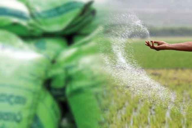 පොහොර සහනාධාර මිල සම්බන්ධයෙන් තීරණයක්