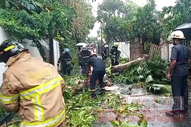 කොළඹටත් ආපදා - මාර්ග රැසක් අවහිරයි