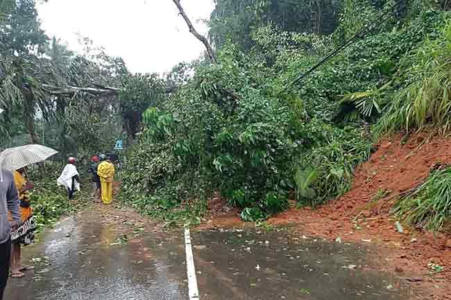 වරකාපොළ - කරවනැල්ල පාර නියදුරුපොළින් අවහිර වෙයි