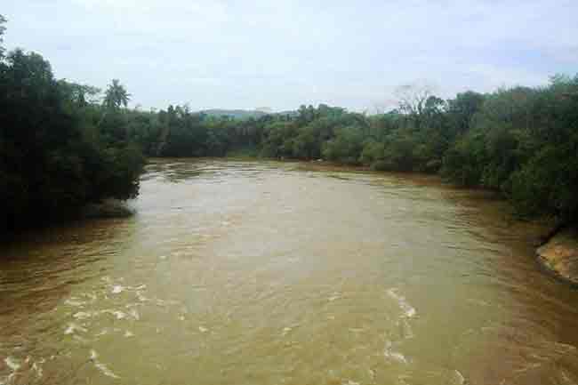 කැලණි ගඟේ ජල මට්ටම ක්‍රමයෙන් පහළට