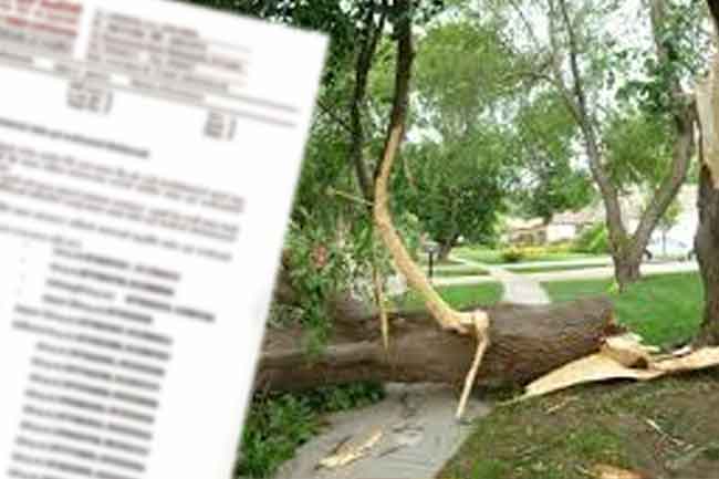 ආපදා සිදුවිය හැකි ගස් තිබේනම් දැනුම් දෙන්න දුරකථන අංක කිහිපයක්