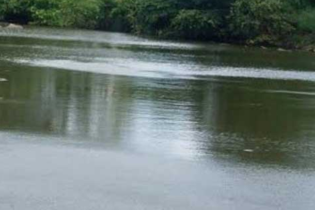 සියදිවි හානි කරගන්න මල්අතු ඔයට පැන්න මව බේරාගනී - දරු දෙදෙනා සොයා මෙහෙයුම්