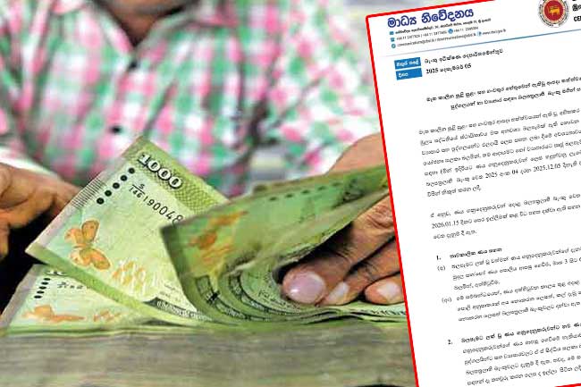 ආපදාවන්ට ලක්වූ පුද්ගලයන් සහ ව්‍යාපාර සඳහා ණය සහන