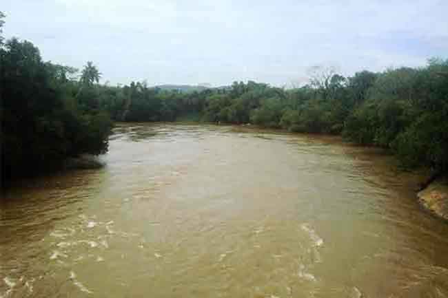 ජලාශවල ජල මට්ටම් ක්‍රමයෙන් පහළට