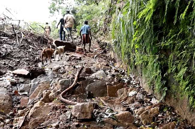 දිස්ත්‍රික්ක 4ක ප්‍රාදේශීය ලේකම් කොට්ඨාස 37කට තවදුරටත් රතු නිවේදන