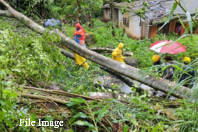 මිනුවන්ගොඩට තද සුළං
