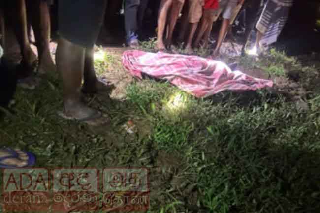 වනඅලි ප්‍රහාරයකින් පුද්ගලයකු ජීවිතක්ෂයට