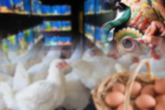 ක්ෂේත්‍ර කිහිපයක කර්මාන්ත ශක්තිමත් කිරීමේ උපදේශක කමිටු පිහිටුවීමට කැබිනට් අනුමැතිය