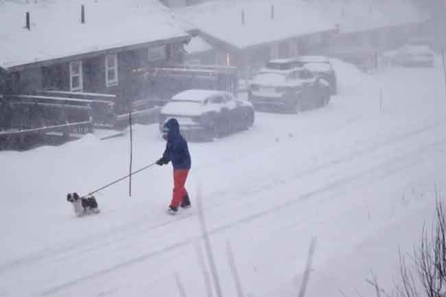 ප්‍රබල හිම කුණාටුවකින් ස්වීඩනයට දැඩි බලපෑම්