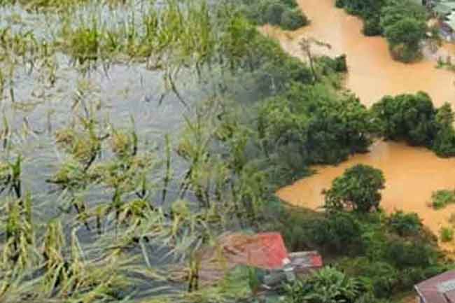 ආපදාවෙන් හානියට පත් වගාවන් සඳහා සහනාධාර ගෙවීමේ ප්‍රගතිය ගැන දැනුම්දීමක්