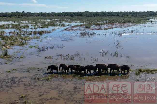 නිජබිම් වෙත...
