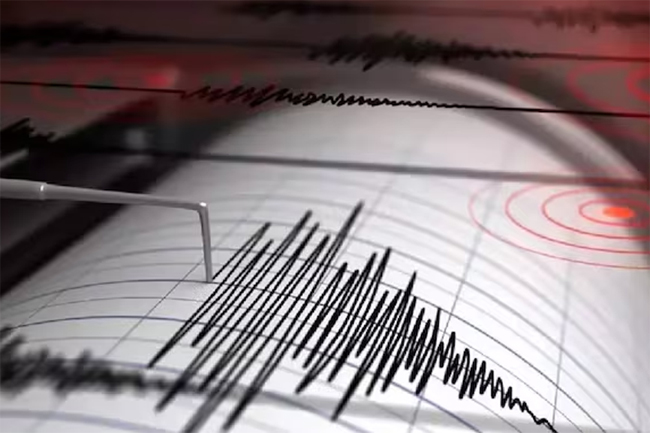 ජපානයේ භූමිකම්පාවක්