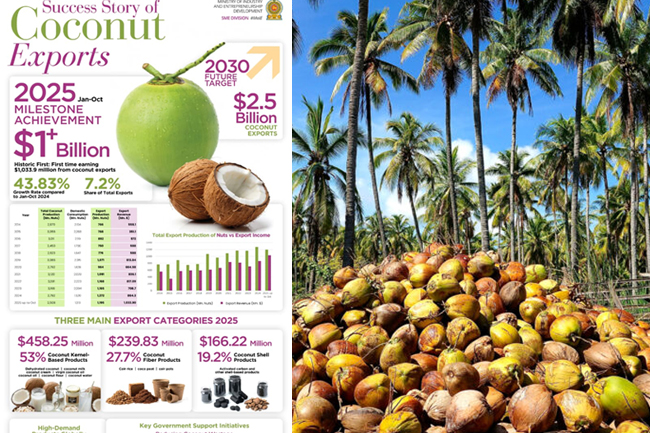 පොල් අපනයන ආදායම  අමෙරිකානු ඩොලර් බිලියනය පනී 