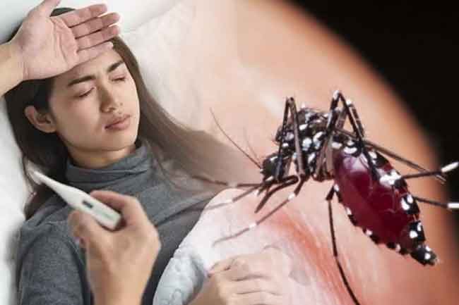 දින 9 තුළ ඩෙංගු රෝගීන් 2,420ක් වාර්තා වෙයි