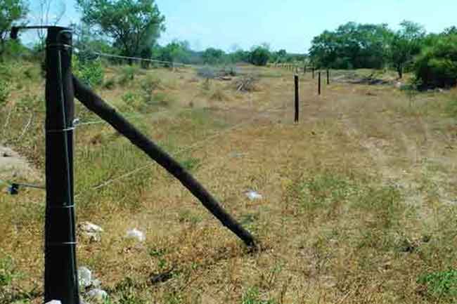 ආපදාවෙන් හානි වූ අලිවැටවල් සතියක් තුළ ප්‍රතිස්ථාපනය කරන්නැයි උපදෙස්