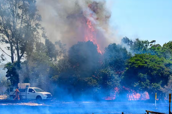 ගිනිකොන දිග ඔස්ට්‍රේලියාවේ ලැව්ගිනි 
