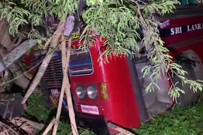 CTB බස් රථය නොමඟ යැවූ වනඅලියා 
