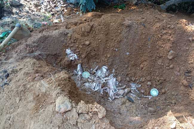 මිනිස් පරිභෝජනයට නුසුදුසු ටින් මාළු තොගයක් විනාශ කෙරේ  