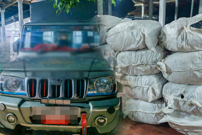 නීති විරෝධීව මෙරටට ගෙන්වූ  බීඩිකොළ තොගයක් කල්පිටියේදී අල්ලයි