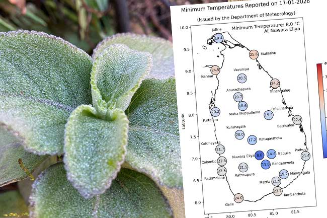 අද අලුයම අවම උෂ්ණත්වය නුවරඑළියට