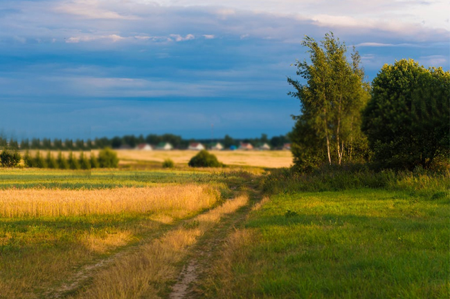 කාලගුණයේ වෙනසක්