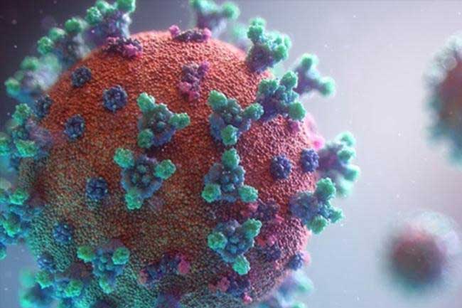 ශීත කාලගුණයත් සමඟ වෛරස් රෝග ව්‍යාප්තිය ඉහළට