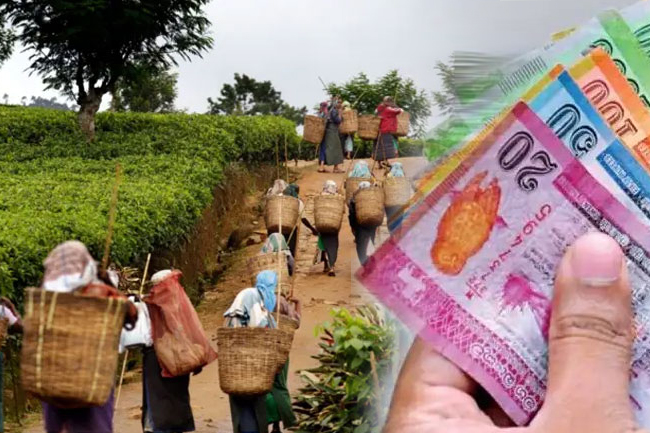 වතු සේවක වැටුප ගැන කැබිනට් මණ්ඩලයෙන් තීරණයක්