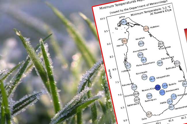 අවම උෂ්ණත්වය සෙල්සියස් අංශක 5.0ක්