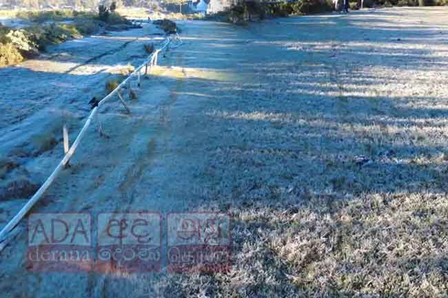 මල් තුහිනවලින් හැඩවූ නුවරඑළිය