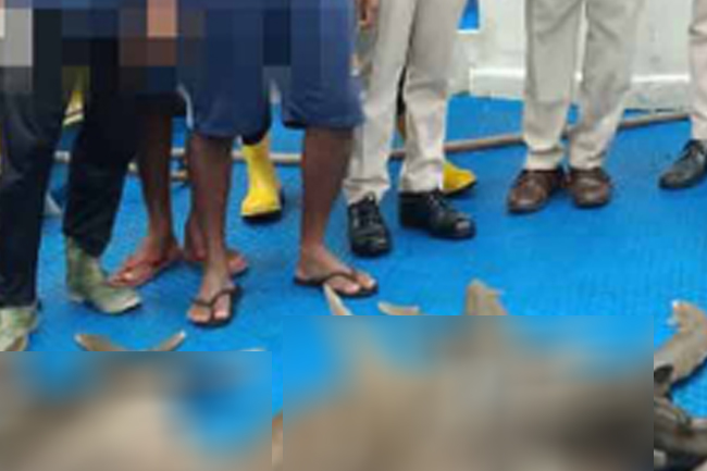 මෝර මසුන් තොගයක් සමඟ  පුද්ගලයින් 7ක් කොටුවෙයි