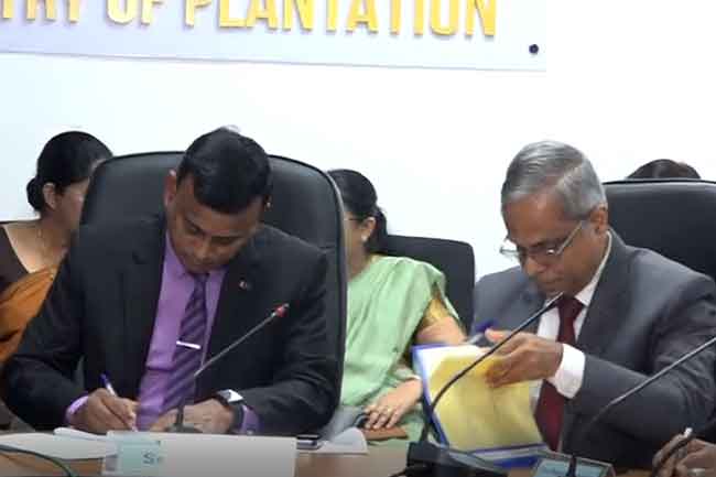 වතු සේවක දෛනික වැටුප වැඩිකිරීමේ ගිවිසුමට අත්සන් තැබේ