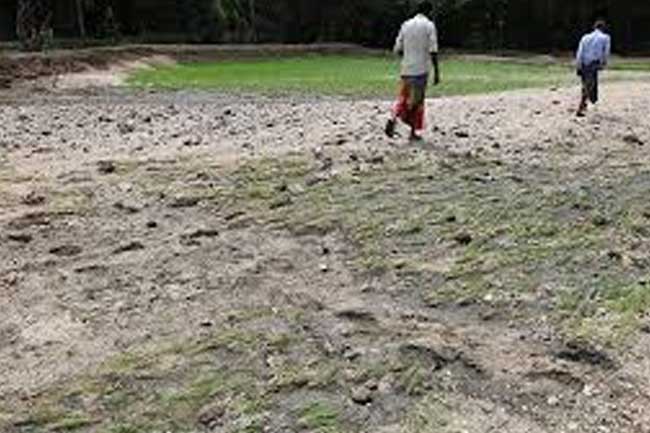 දිට්වා නිසා කෘෂි ක්ෂේත්‍රයට සිදුවූ හානියට වන්දි ලබාදීම කඩිනම් කරන්න - ආංශික අධීක්ෂණ කාරක සභාවෙන් උපදෙස්