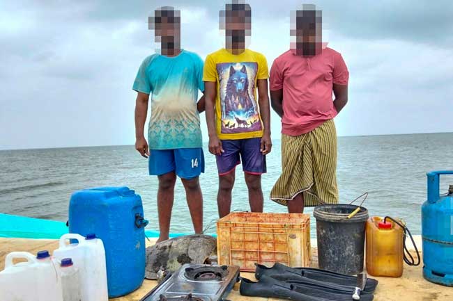 කැස්බෑ මස් සහ බිත්තර තොගයක් සමඟ තිදෙනෙක් අත්අඩංගුවට 