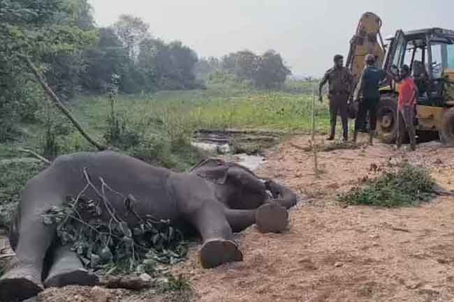 නොකළ වරදකට වන්දිගෙවා නිසොල්මනේම දෑස් පියාගත් සද්ධන්තයා