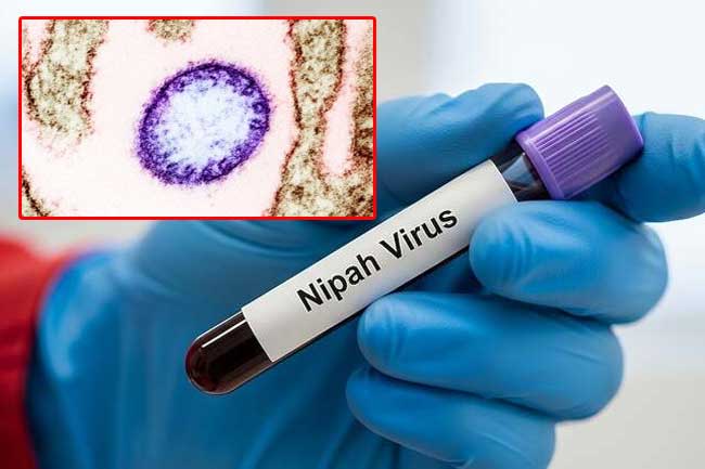 නිපා වෛරසය ආසාදනයෙන් බංග්ලාදේශයේ කාන්තාවක් මරුට