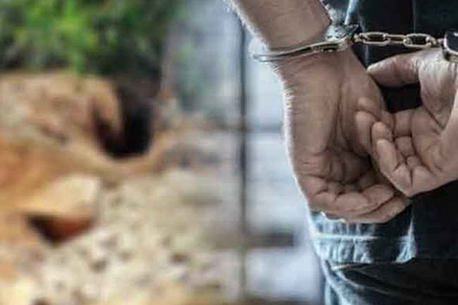 පුරාවස්තු සෙවීමේ අරමුණින් කැණීම් කළ 6ක් අත්අඩංගුවට 