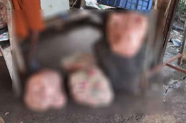 මිය ගිය කුකුළන් අලෙවි කරන ජාවාරමක තතු හෙළි වෙයි