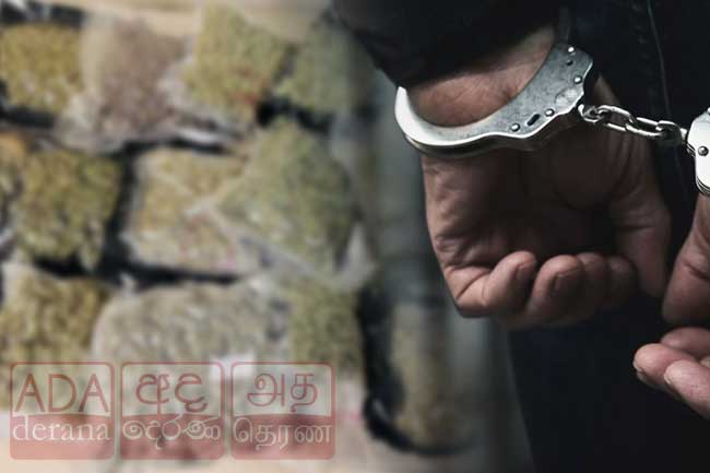 කුෂ් කිලෝ 16ක් සමඟ තිදෙනෙකු ගුවන්තොටේ දී මාට්ටු