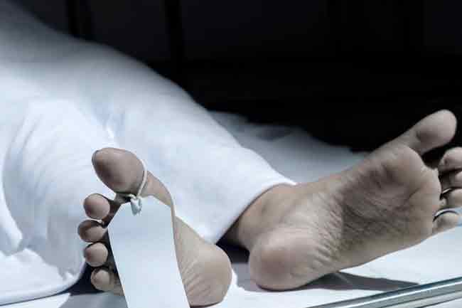 වනඅලි පහරදීමකින් විදේශිකයෙකු ජීවිතක්ෂයට