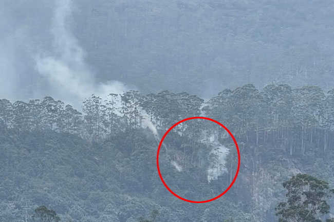 ශ්‍රීපාද රක්ෂිතයේ ගින්නක් - පරිසර පද්ධතියට සහ ජීවීන්ට දැඩි තර්ජන