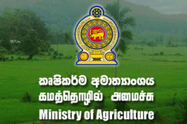 දේශපාලන බලපෑම් ගැන රාජ්‍ය නිලධාරීන් කණ්ඩායමක් කළකිරීමෙන් 