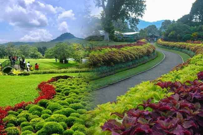 පසුගිය වසරේත් උද්භිද උද්‍යාන ආදායම රුපියල් බිලියනය ඉක්මවයි