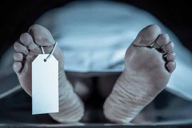 පැලට නැගීමට සවිකර තිබූ ඉනිමග කඩා වැටී පුද්ගලයෙකු මරුට