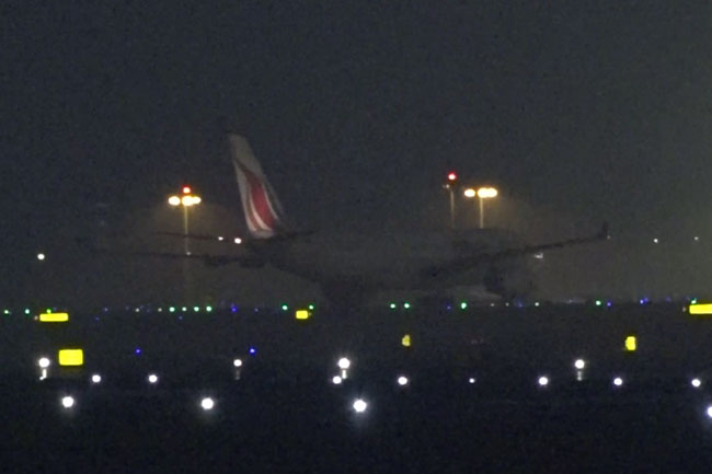 පොඩි ලැසී දිවයිනට රැගෙන එයි 