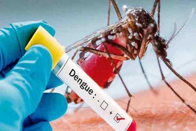 වසරේ මේ දක්වා කාලය තුළ  ඩෙංගු රෝගීන් 13, 416ක් 