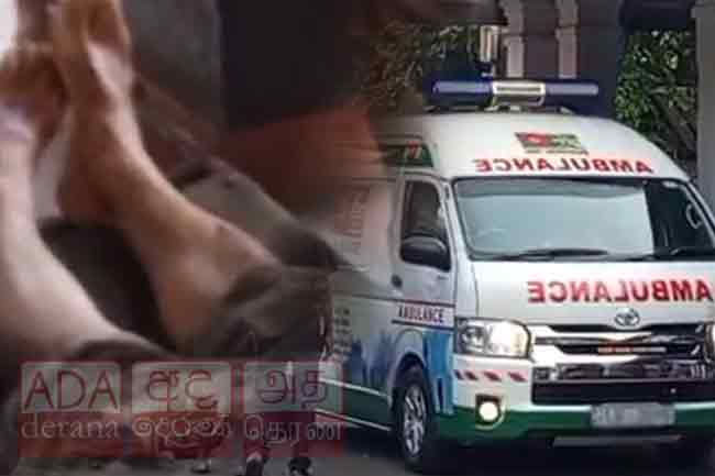 පින්වත්ත දුම්රිය පාලම මත මාරක අනතුරක් - විදෙස් ජාතිකයෙකුට දිවි අහිමි වෙයි