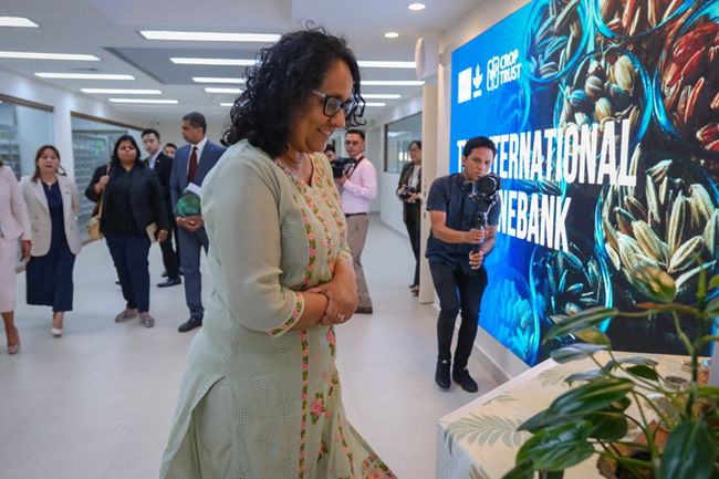 අග්‍රාමාත්‍යවරිය පිලිපීනයේ ජාත්‍යන්තර වී පර්යේෂණ ආයතනයේ නිරීක්ෂණයක