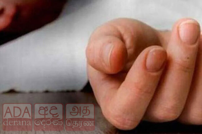 මහනුවර ජාත්‍යන්තර පාසලක හත් හැවිරිදි දරුවෙකු හදිසි අනතුරකින් මරුට