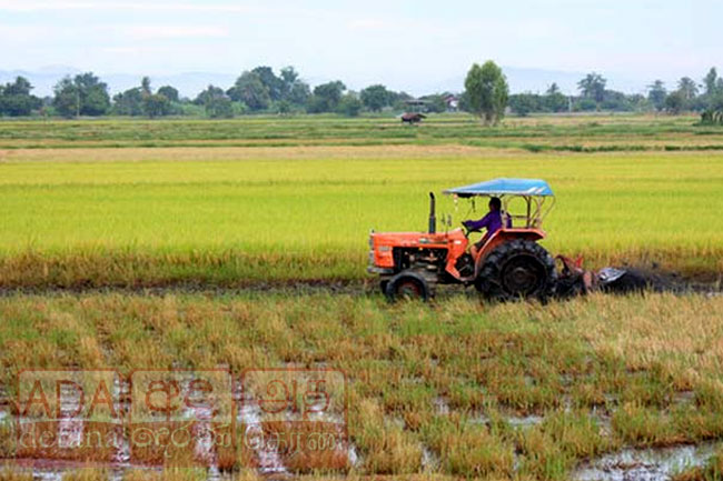 QR නැතුව ගොවීන්ට ඉන්ධන ලබාදීම ඇරඹේ