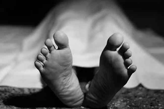 මිත්තණිය සමග දිය නාමින් සිටි දැරියක්ව කිඹුලෙක් ඩැහැගෙන යයි